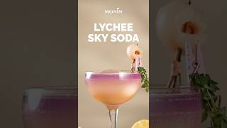 MONIN How-To: Lychee Sky Soda