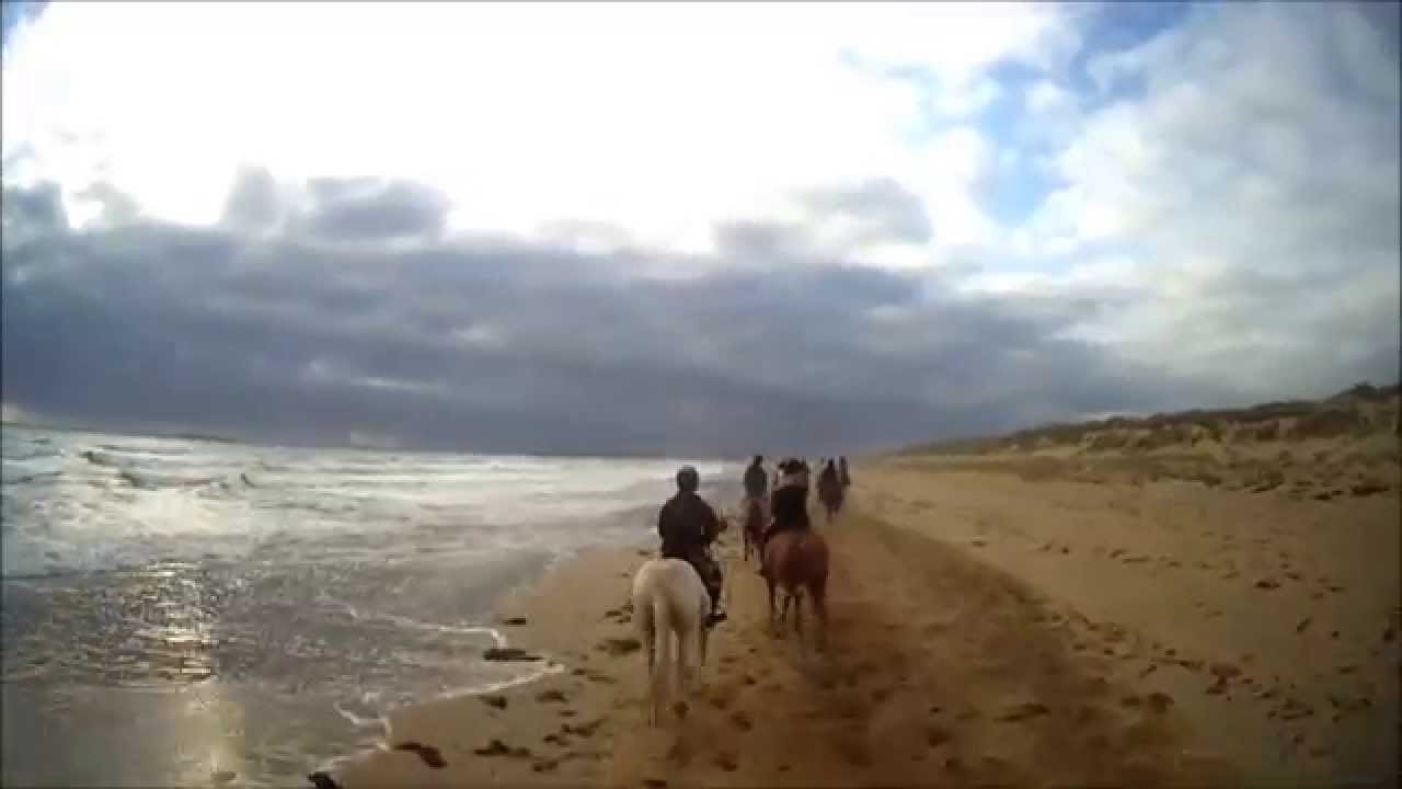 Erdeven équitation balade plage été 2015