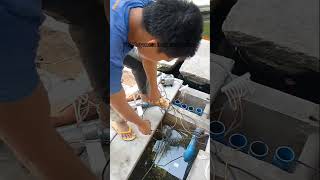 Boy Tanso Vlog utang looy looy bayad likay likay 🤣