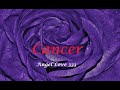 Cancer ♋️🌹September Love ~ They want a family life with you! Tarot Reading