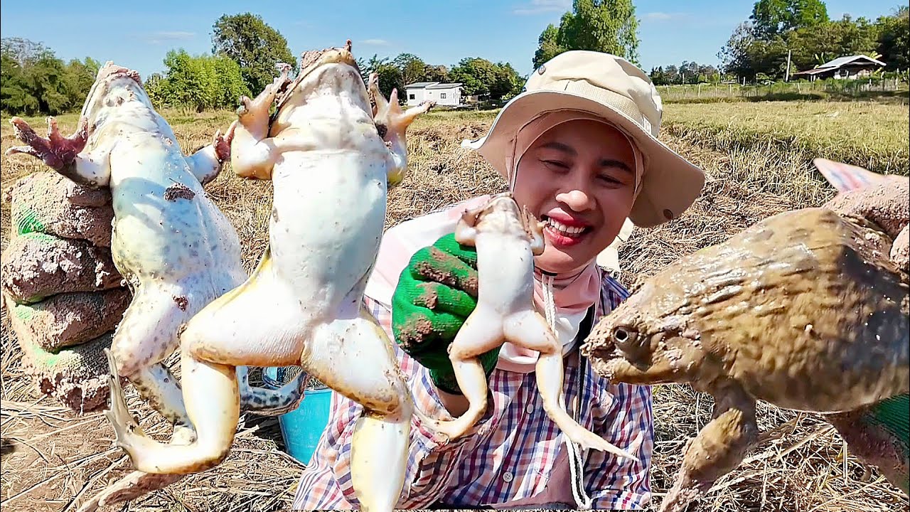 เจอแล้ว!!กบไงแรกของปีงานนาเดียวหมานเกินคาด8/1/69