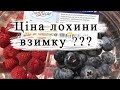 лохина. Ціни на ягоду взимку. чехія 2023