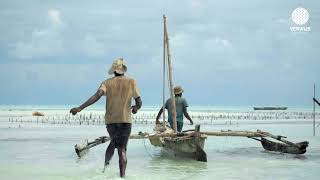 Exotic Market | Verwijs Seafood
