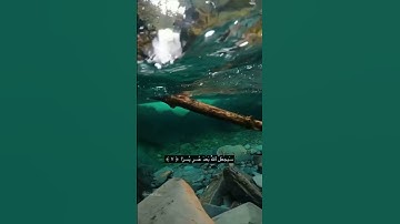 { سَيَجْعَلُ اللَّهُ بَعْدَ عُسْرٍ يُسْرًا } ماهر المعيقلي سورة الطلاق - الآية 7