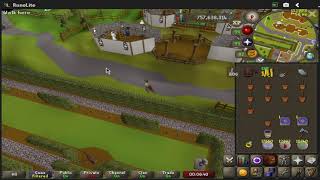 Osrs farm run with resurrect crop spell