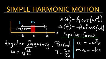 Simple Harmonic Motion - Physics