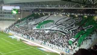 ASSE Saison 2012 / 2013