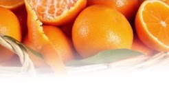 Hair Fall Treatment using Orange Peel