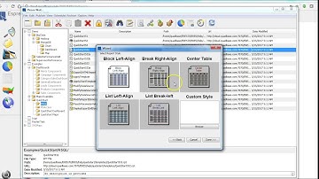 Introduction to EspressReport ES