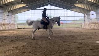 E-Riders, Anita&El-Key, Prelim 2B, June 2025, Veteran Horse