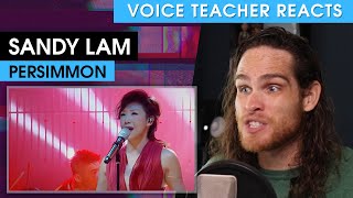 Voice Teacher Reacts to Sandy Lam - Persimmon