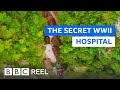 The Slovenian hospital the Nazis could never find - BBC REEL