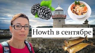 VLOG: гуляем по Howth, собираем ежевику, покупаем рыбу