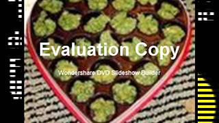 Slideshow1(1).wmv