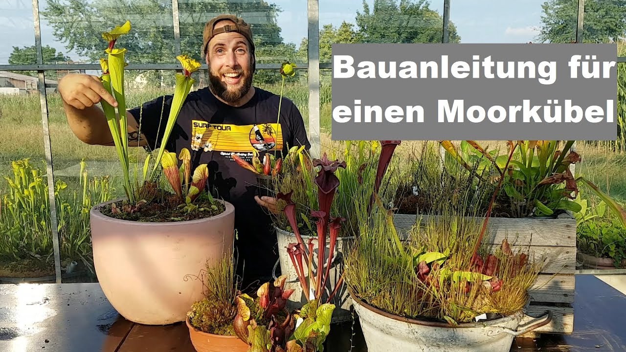 #20 Winterharten Moorkübel anlegen, mit fleischfressenden Pflanzen | Karnivoren | Green Jaws