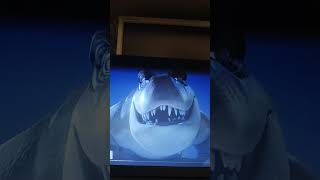 Замбезия 2012- Будзо