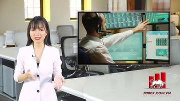 Thời gian lý tưởng nhất để giao dịch cặp EUR/USD?| Học Forex