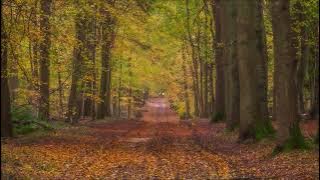 atish, Polo (AR) - Ultramar (Original Mix)