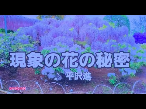 【歌ってみた】現象の花の秘密 / 平沢進