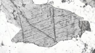 Clinopyroxene in gabbro (PPL)