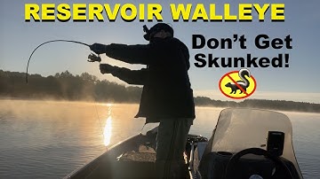WALLEYE Bite Found! (Pymatuning, Jigging, Fall)