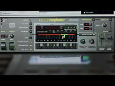 Neptune Pitch Adjuster for Record 1.5