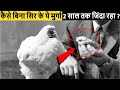 कैसे बिना सिर के ये मुर्गा 2 साल तक जिंदा रहा ? Amazing Facts In Hindi \RTS EP 177