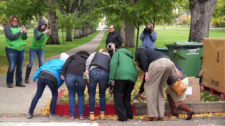 Cans Around the Oval
