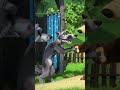 Mądry Niedźwiedź! #Shorts #mashaandthebear #maszainiedźwiedź #SwędzącyProblem