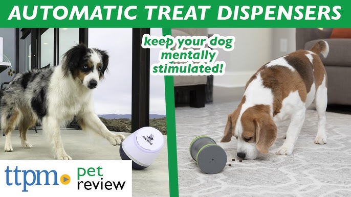 Bob-A-Lot Treat Dispenser Review (+ How To Use It)