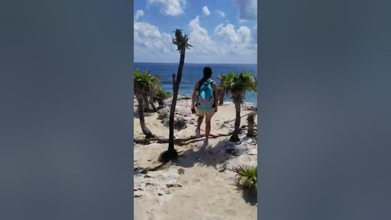Coconuts bar and grill in Cozumel Mexico YouTube