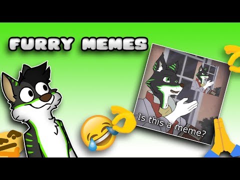 furry-meme-competition