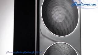 Напольная акустика Monitor Audio Radius R 270 hd