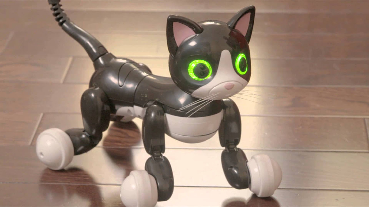 猫 ロボット ズーマー キティ Zoomer Kitty Cat Zoomer | Zoomer Kitty | Getting Started! - YouTube