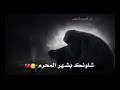 اجمل حالات واتساب ها يامهدي شلونك بشهر المحرم اجمل حالات واتساب ها يامهدي شلونك بشهر المحرم