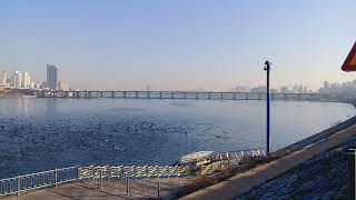 Migrating birds on Han river