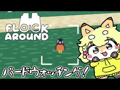 【Flock Around】ピヨピヨの鳴き声を聞きながらバードをウォッチングするゲーム！！