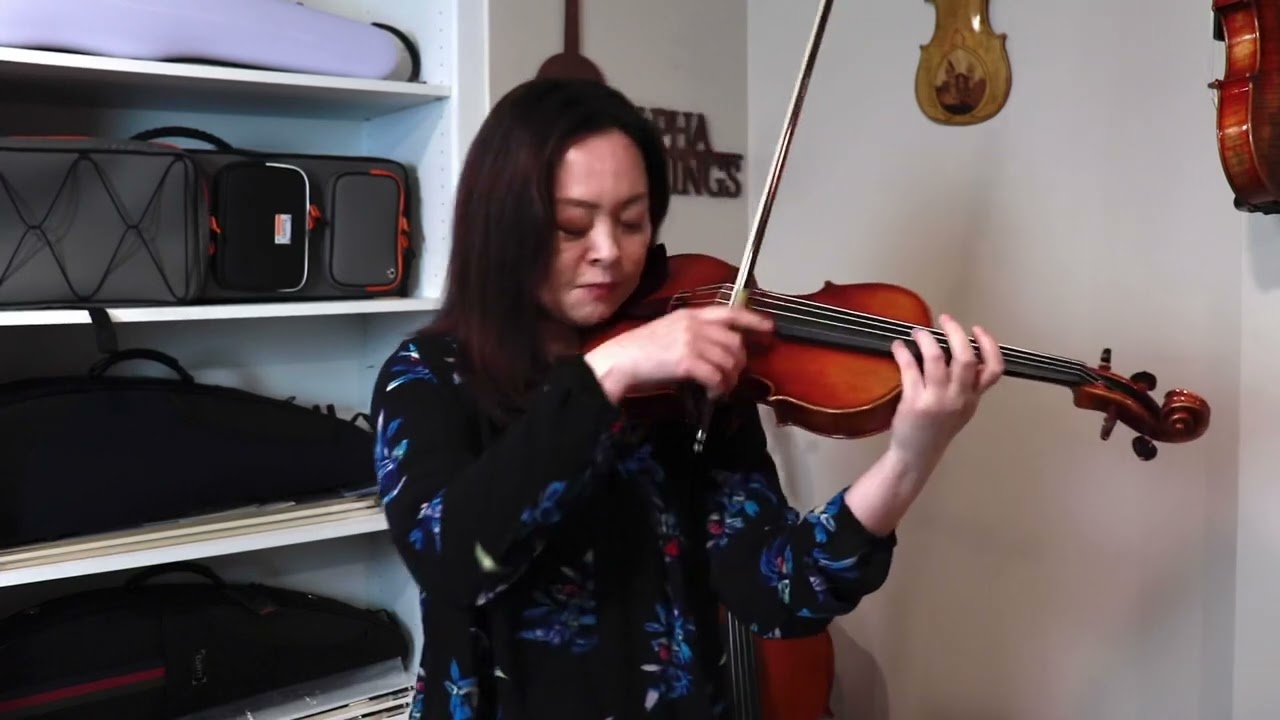 Ming Jiang Zhu G925 Violin