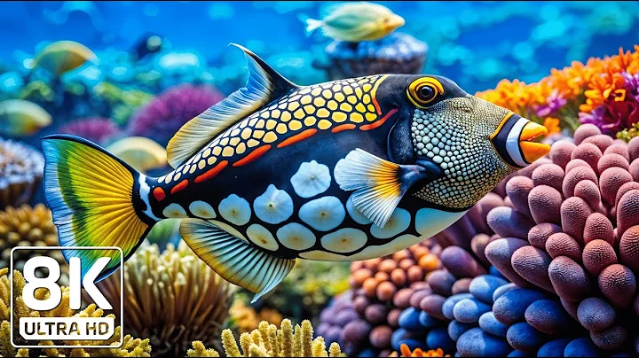 Crystal Ocean 8K - Beautiful Marine Life for Stress Relief thumbnail