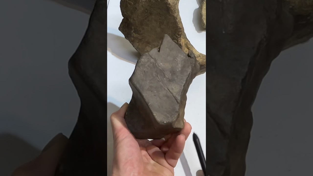 The Mammoth Foot Print. Under researched artifacts. 