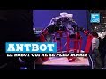 ROBOT DE TRADING MT4 FORMATION FOREX