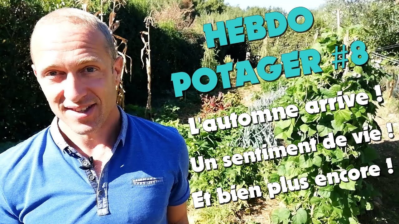 HEBDO POTAGER #8