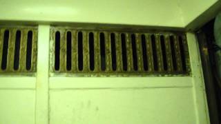 1928 Haughton Traction Elevator at the Fredrick Buliding