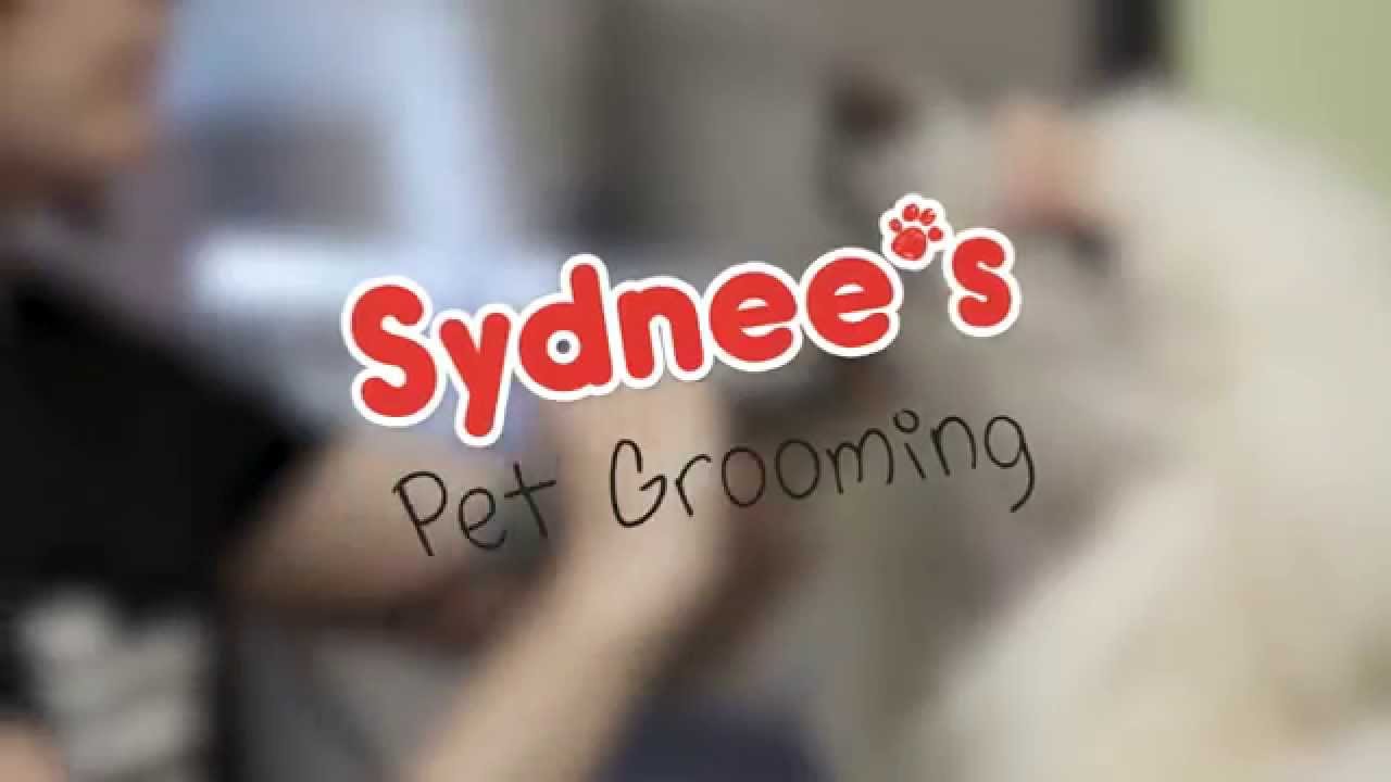 Sydnee's Pet Grooming Core Values YouTube