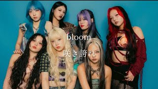 【和訳】Bloom HANA