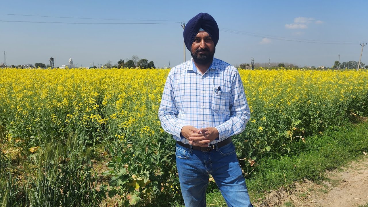 9.5 Acre Agriculture land Near Chandigarh Manali Highway, Ropar Haveli, KFC, Subway