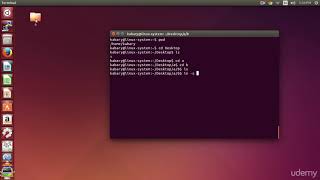 Linux Command Line Basics - A directory loop !