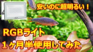 アクアリウムでも使える格安RGBライト　使用1ヶ月半レビュー