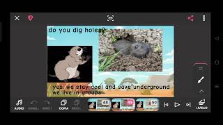 Full Meet the Animals 108: Gopher News
