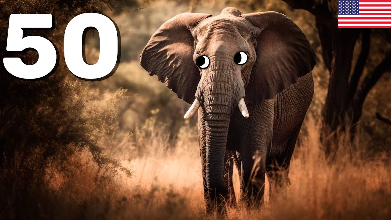 50 Incredible Facts About Elephants YouTube